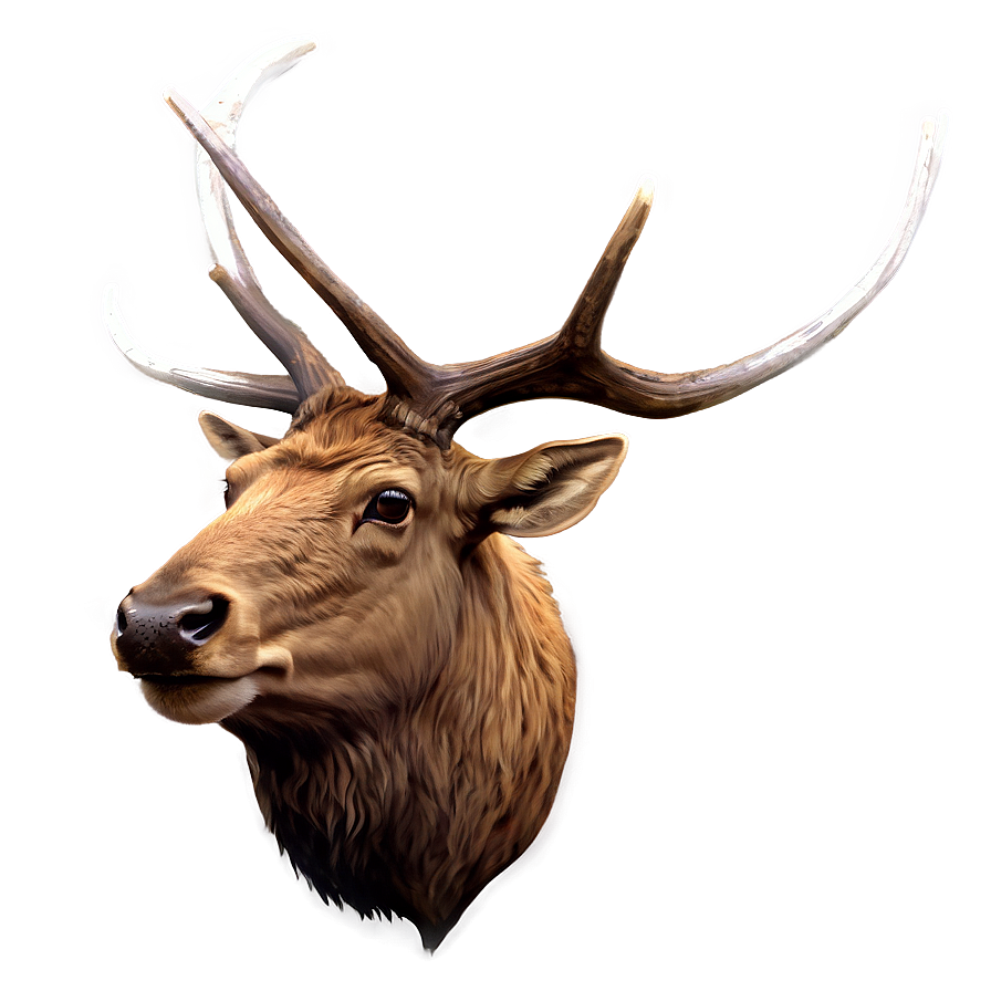 Elk Illustration Png 05242024 PNG image