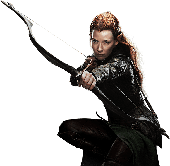 Elven Archer Readyfor Battle PNG image