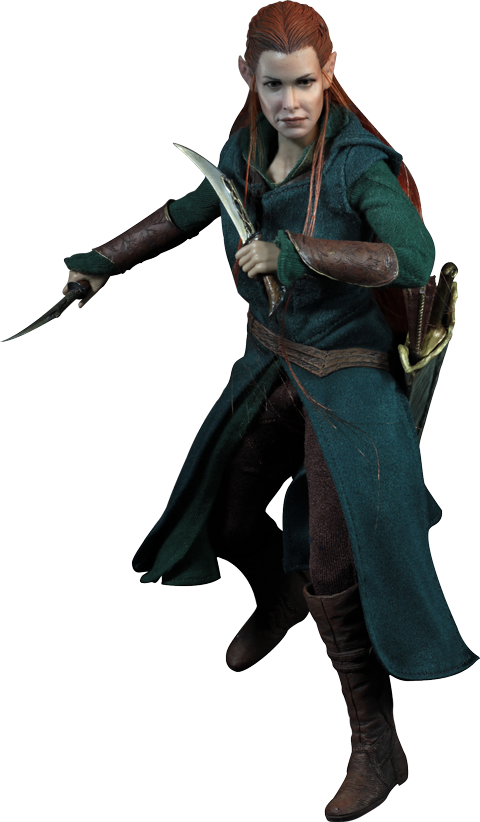 Elven Warrior Readyfor Battle PNG image