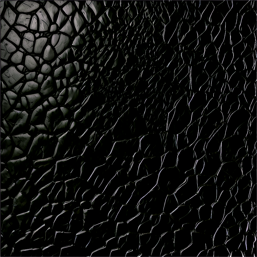 Embossed Black Leather Png Vnb68 PNG image