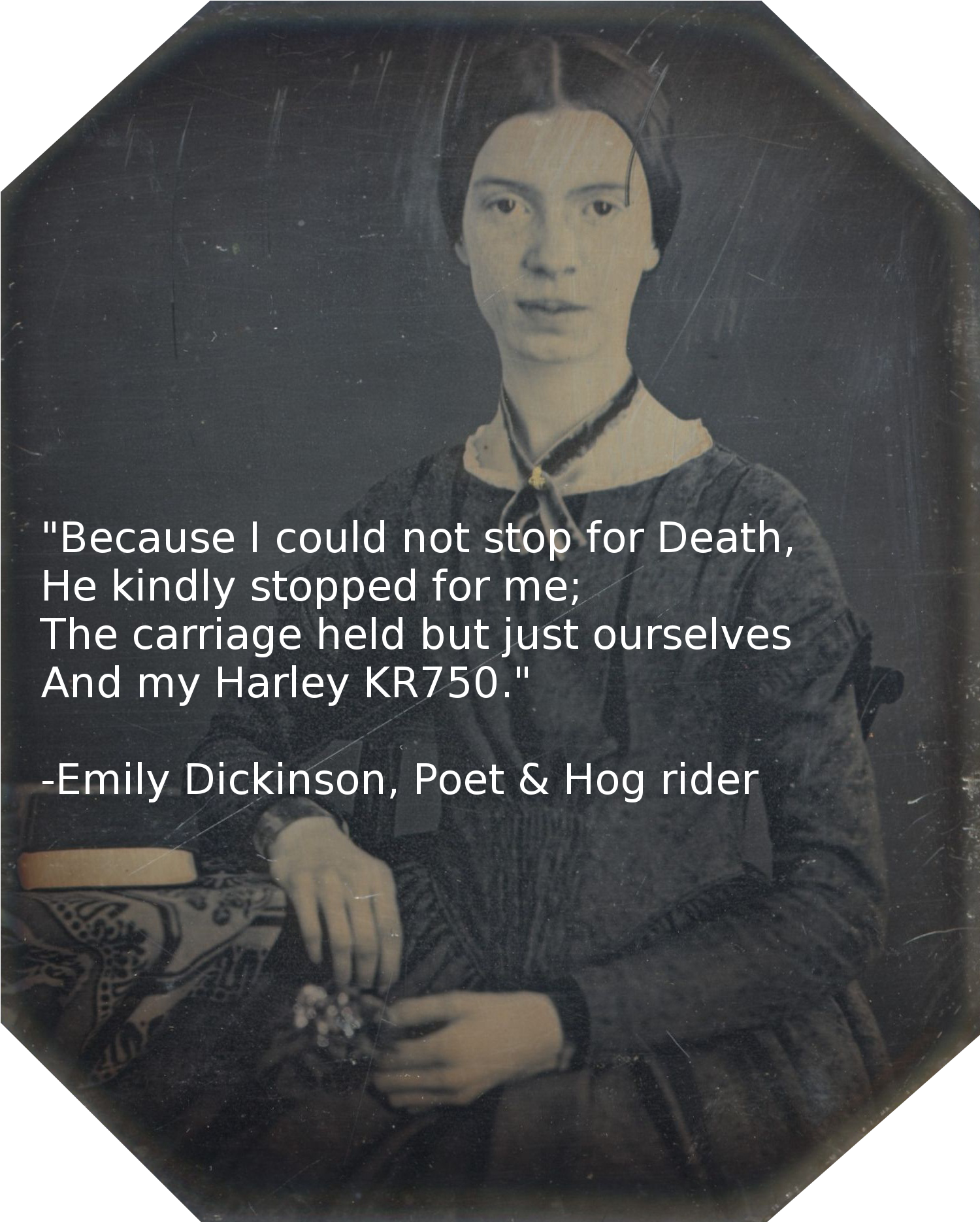 Emily Dickinson Hog Rider Parody PNG image