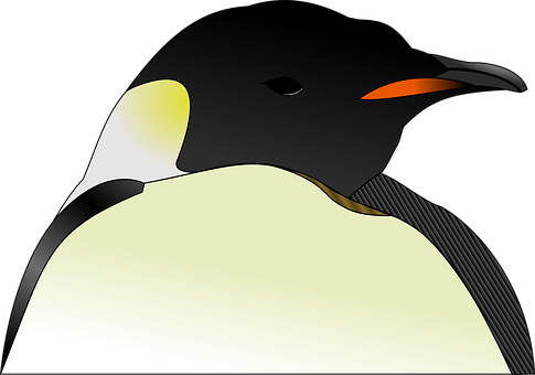 Emperor Penguin Vector Artwork PNG image