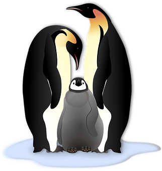 Emperor Penguinand Chick Illustration PNG image