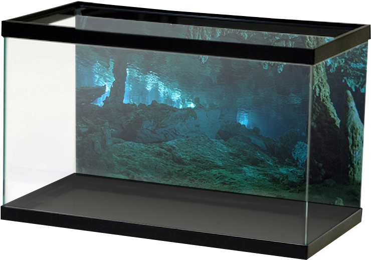 Empty Aquarium Setup PNG image