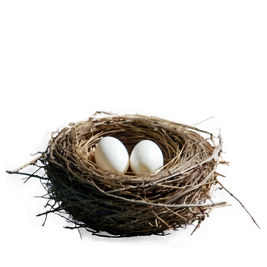 Empty Bird Nest Png 05252024 PNG image