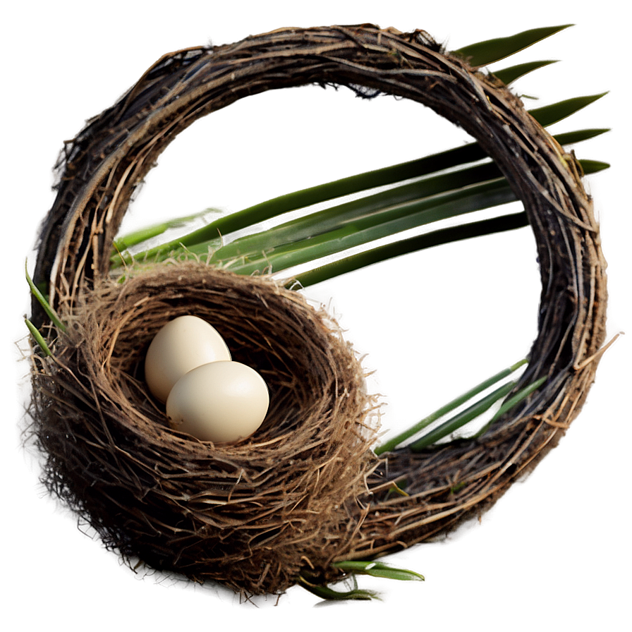 Empty Bird Nest Png Vjy PNG image