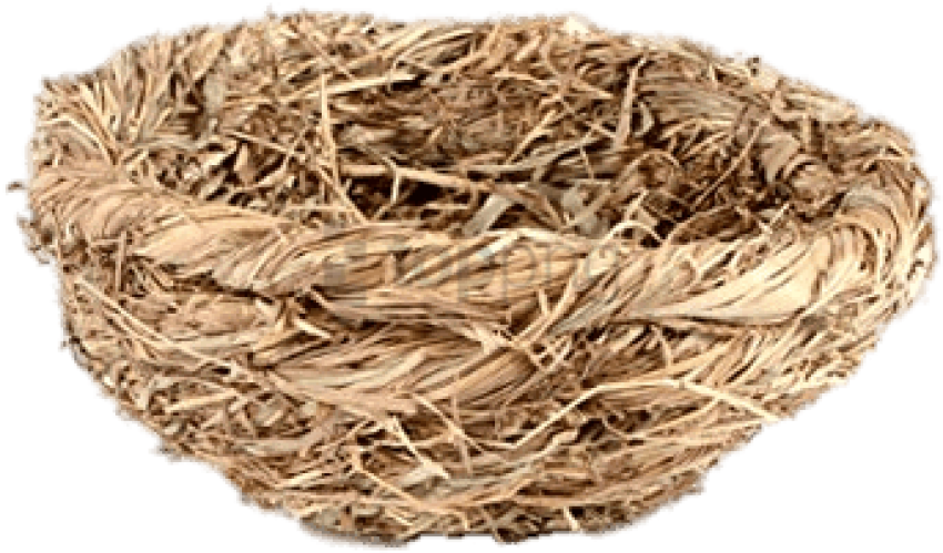 Empty Bird Nest Texture PNG image