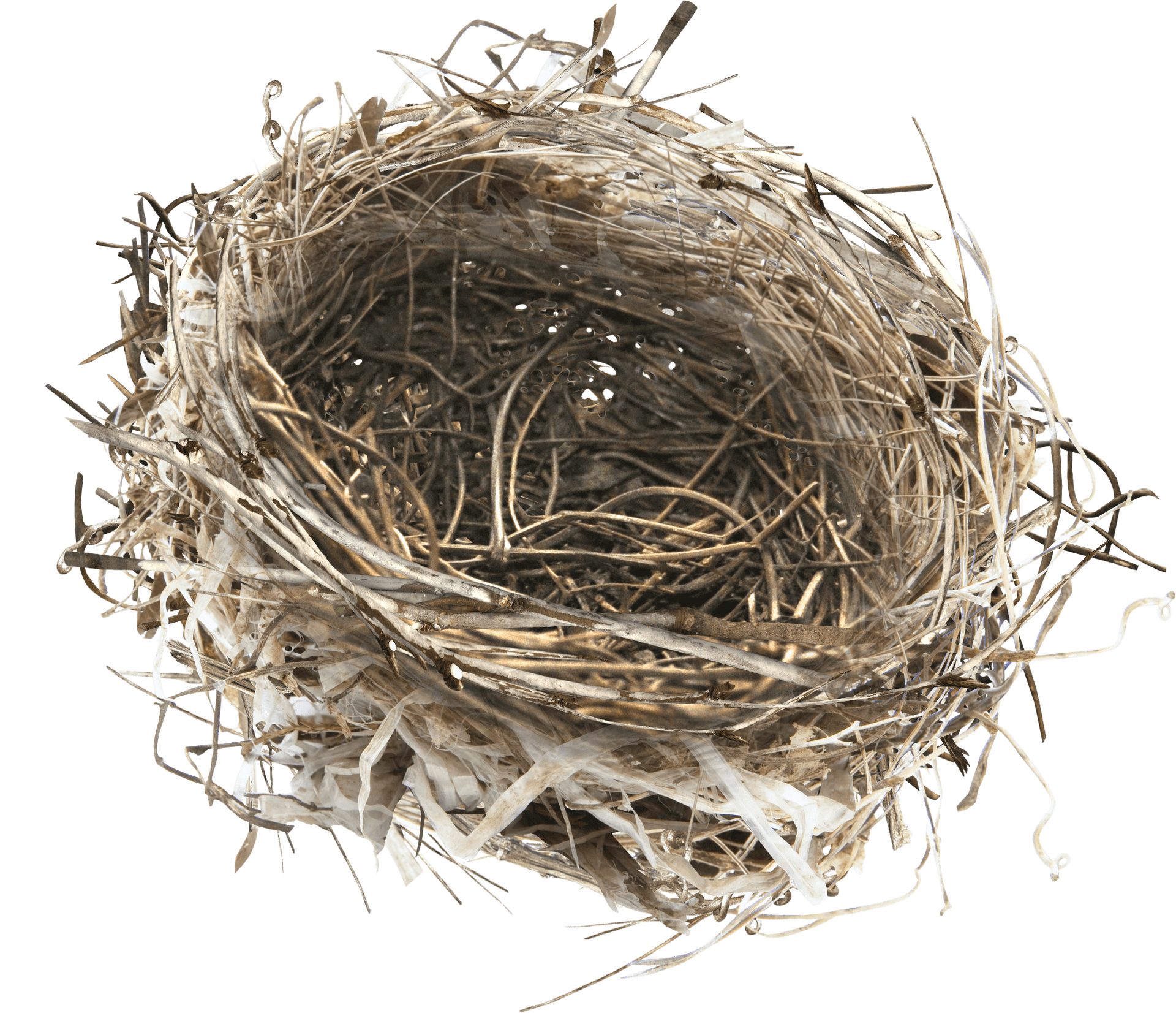 Empty Bird Nest Top View PNG image