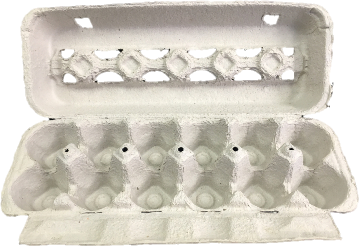 Empty Egg Carton Open Top View PNG image