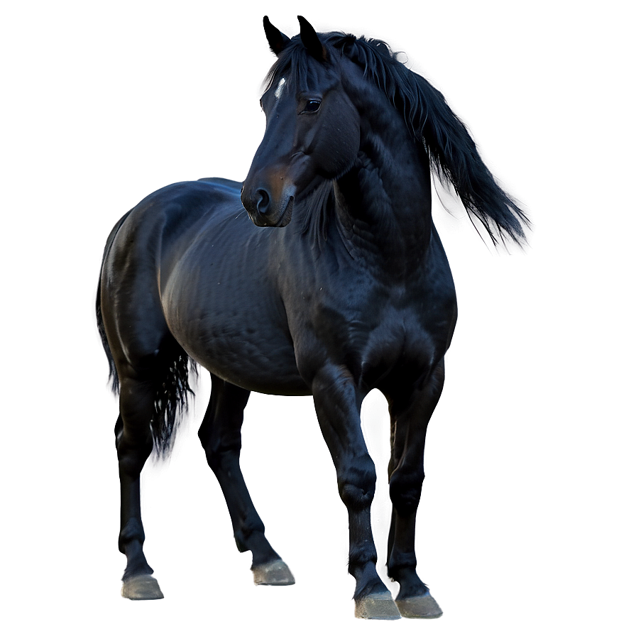 Enchanted Black Horse Magic Png 06262024 PNG image