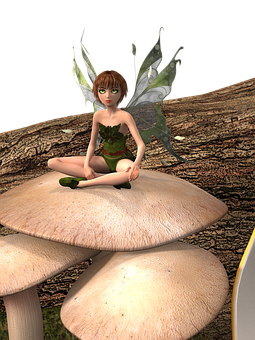 Enchanted Forest Fairy On Mushroom.jpg PNG image