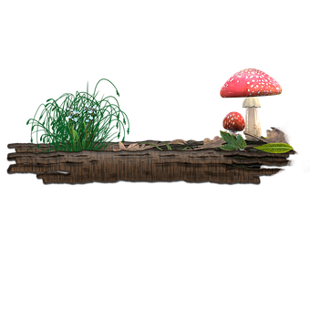 Enchanted Forest Mushrooms PNG image