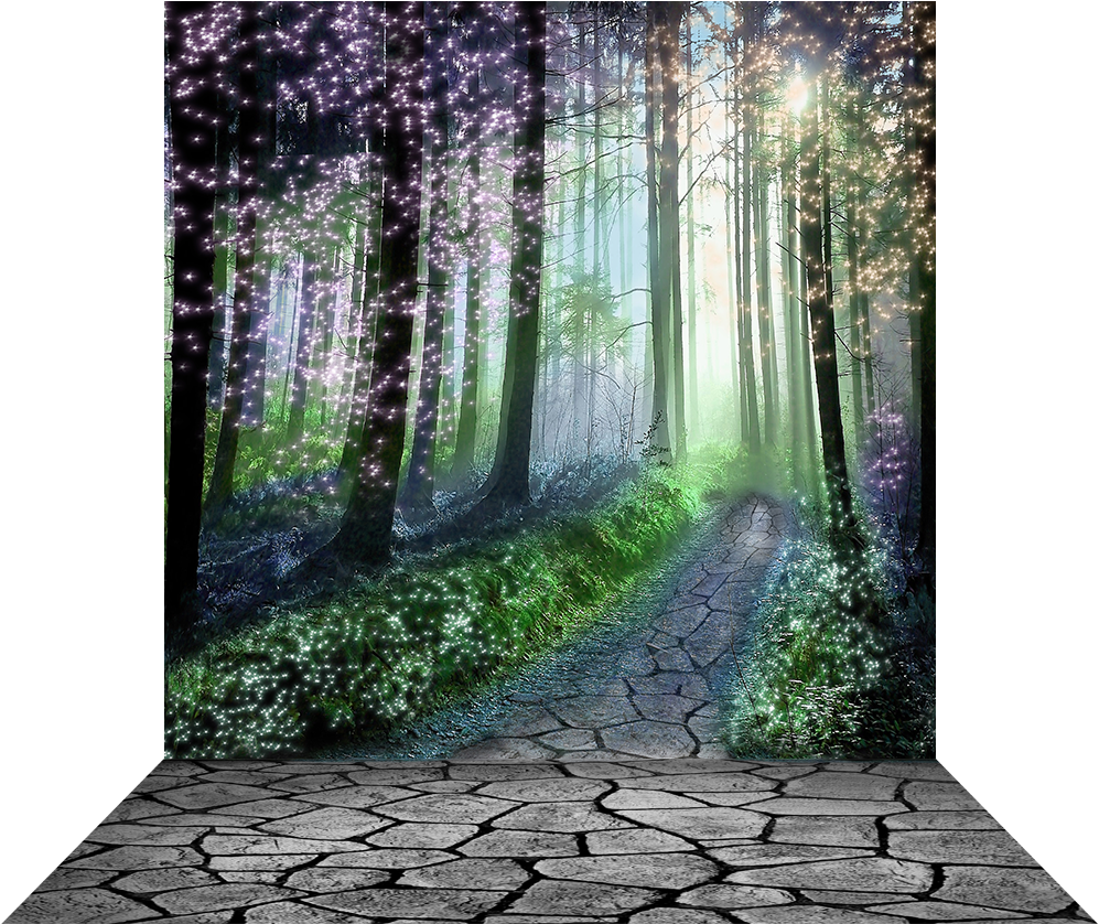 Enchanted Forest Pathway PNG image