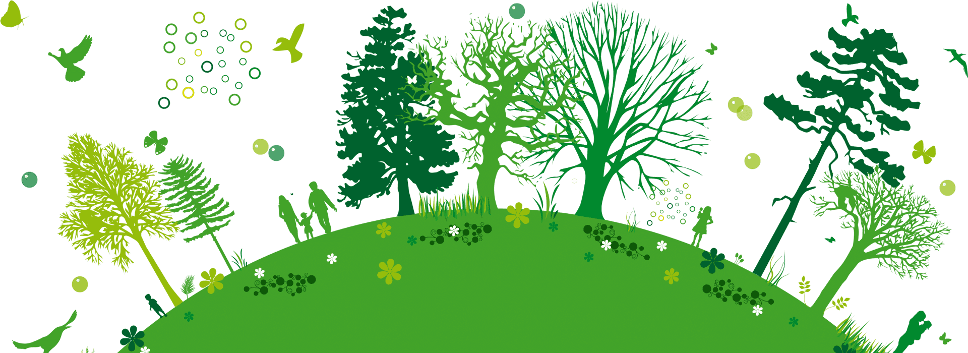 Enchanted Forest Silhouette PNG image