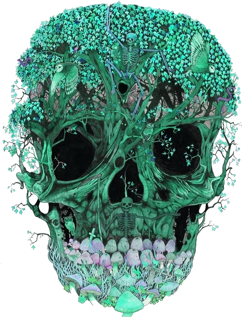 Enchanted Forest Skull Artwork PNG image