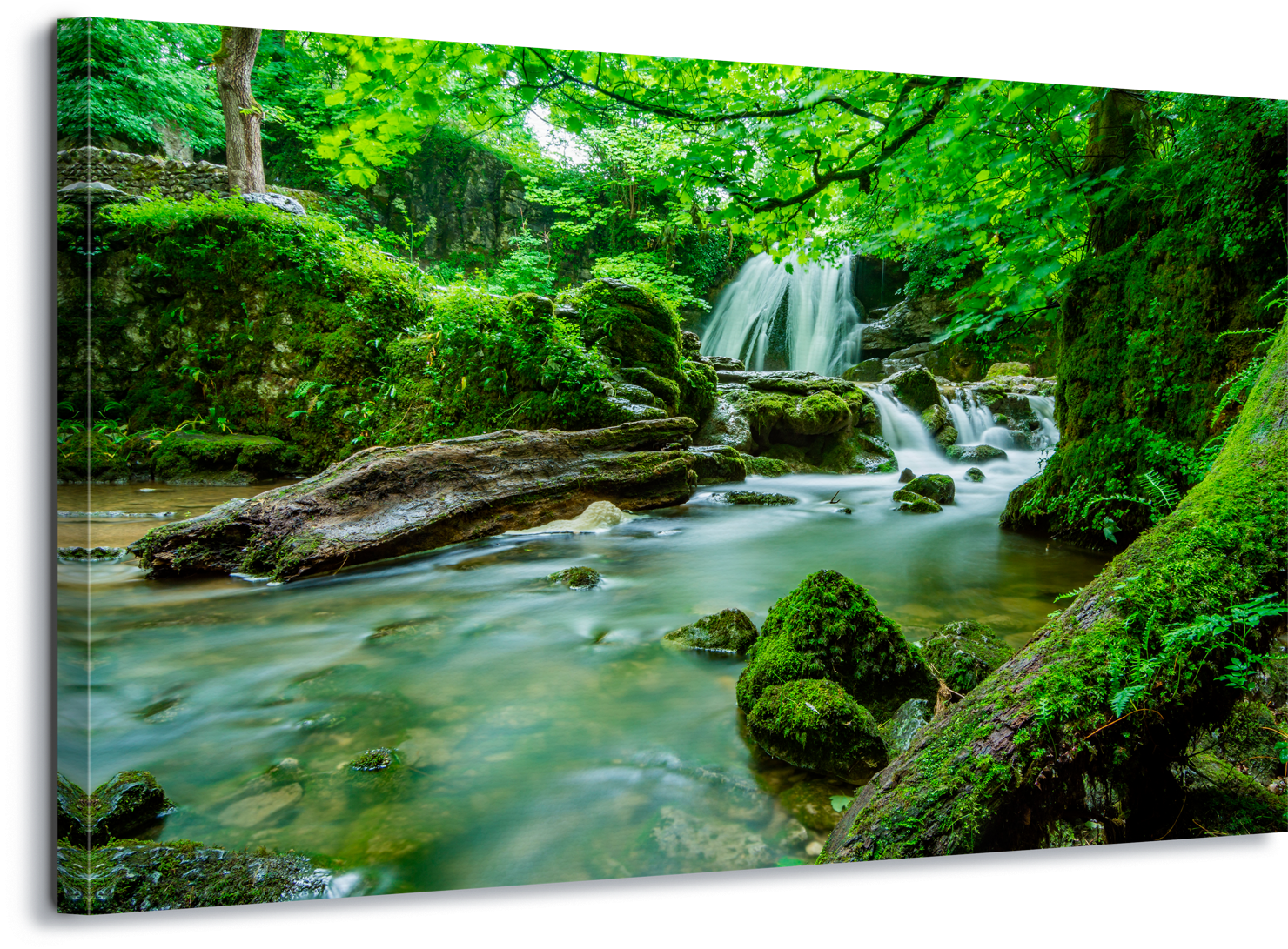 Enchanted Forest Waterfall Scene PNG image