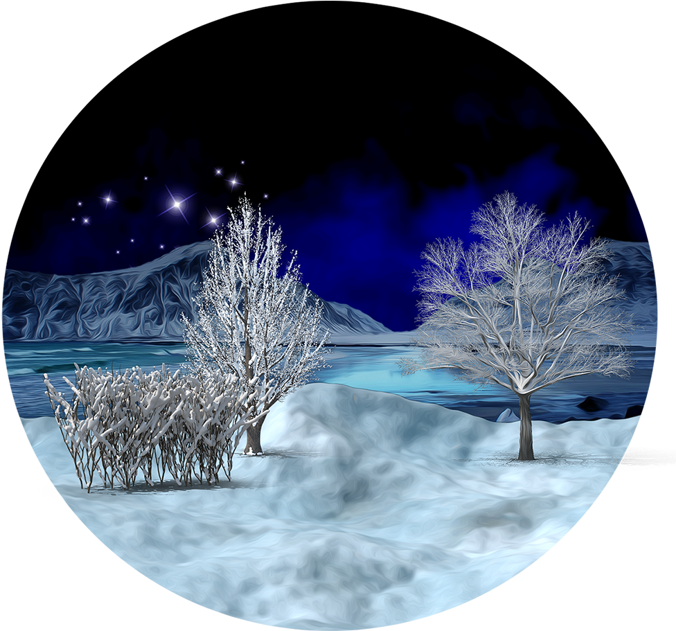 Enchanted_ Winter_ Night_ Scene PNG image