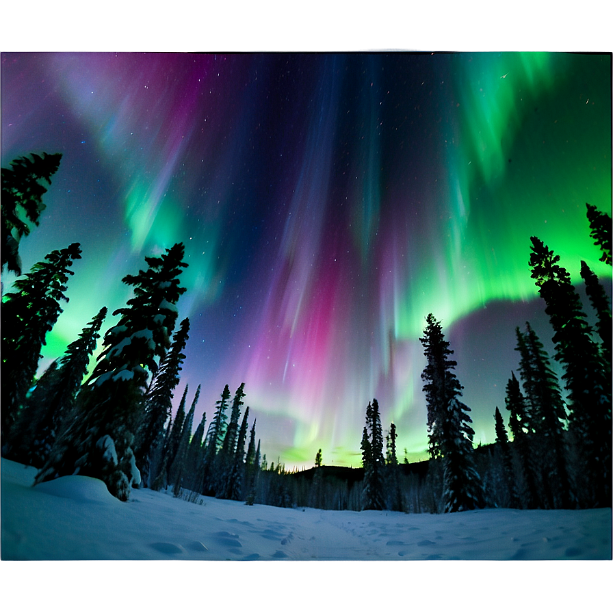 Enchanting Aurora Forest View Png Ftl90 PNG image