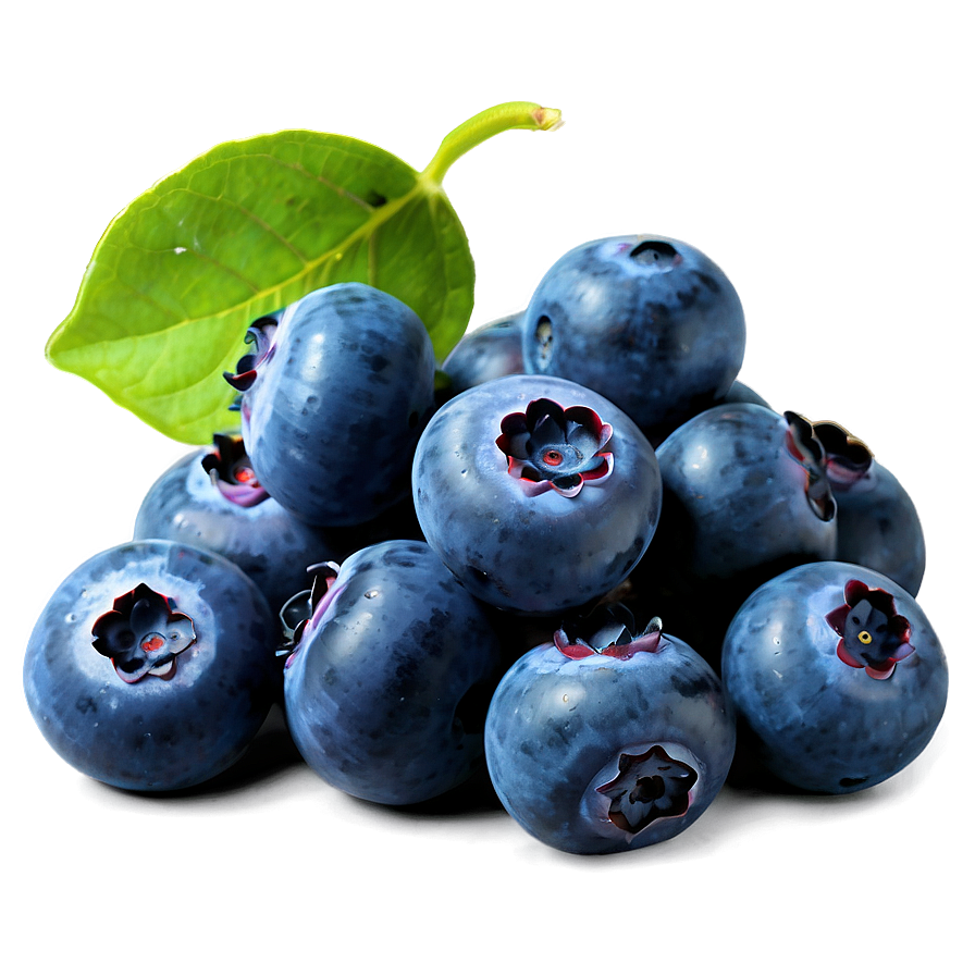 Enchanting Blueberry Bliss Png Vpr PNG image