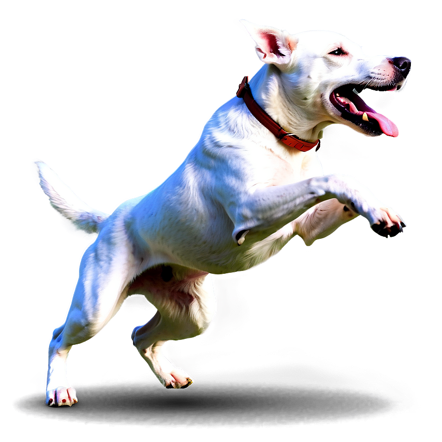 Energetic Dog Running Png Bkv77 PNG image