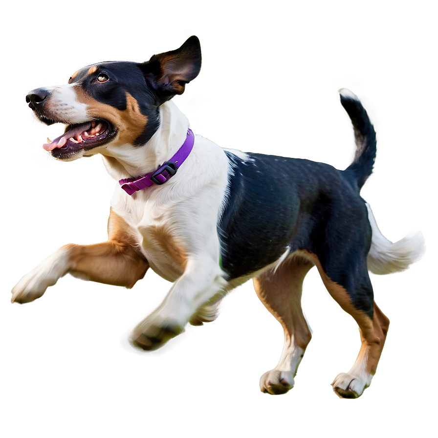 Energetic Dog Running Png Ywe PNG image