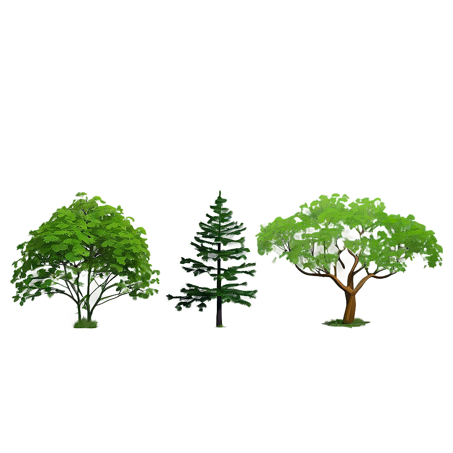 Environmental Tree Elevation Png Vvb PNG image