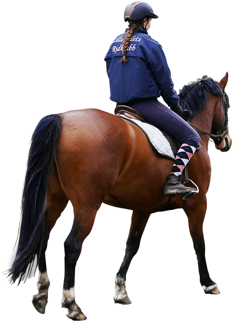 Equestrian_ Practice_ Session PNG image