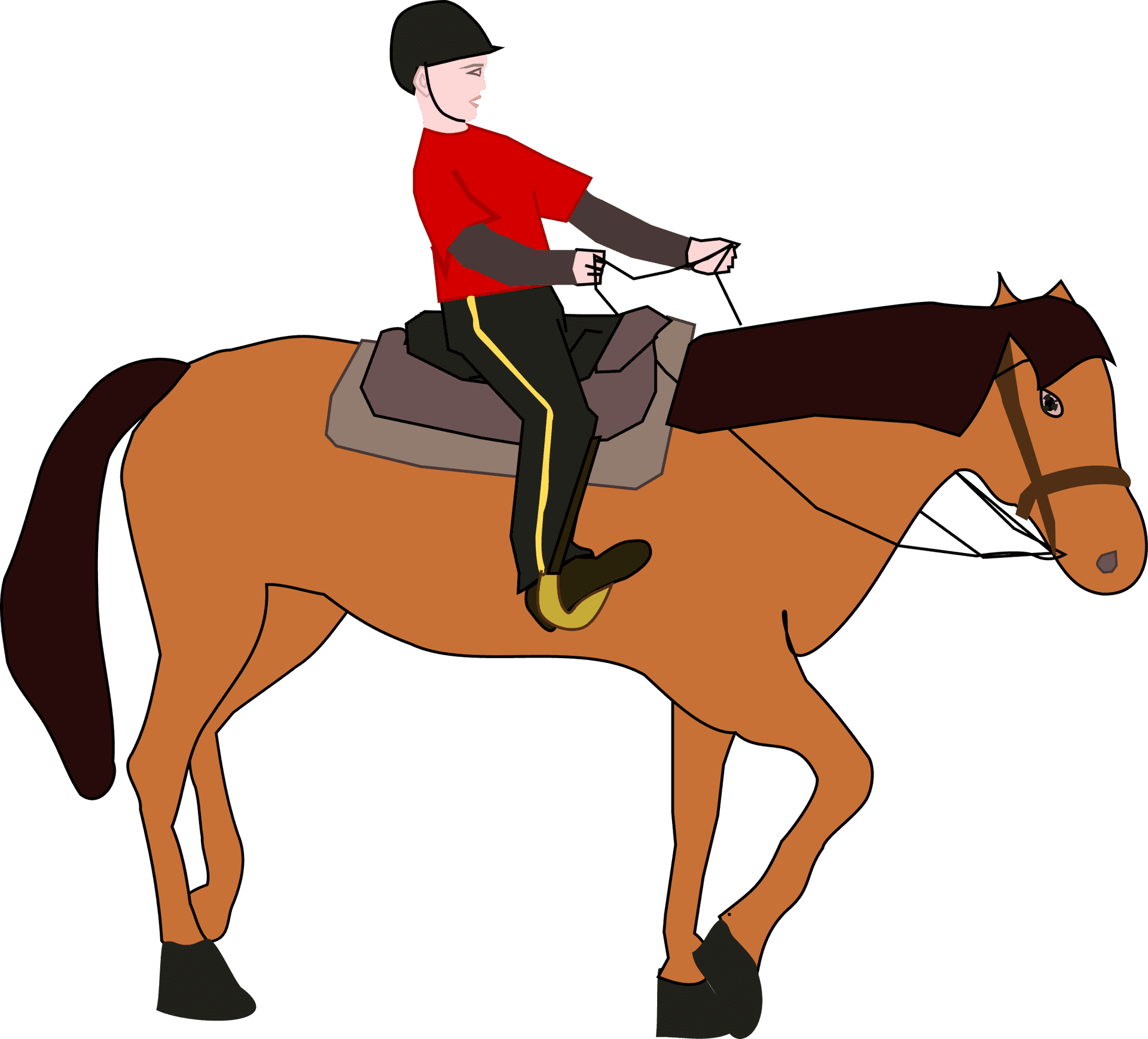 Equestrian_ Rider_in_ Red_ Shirt PNG image
