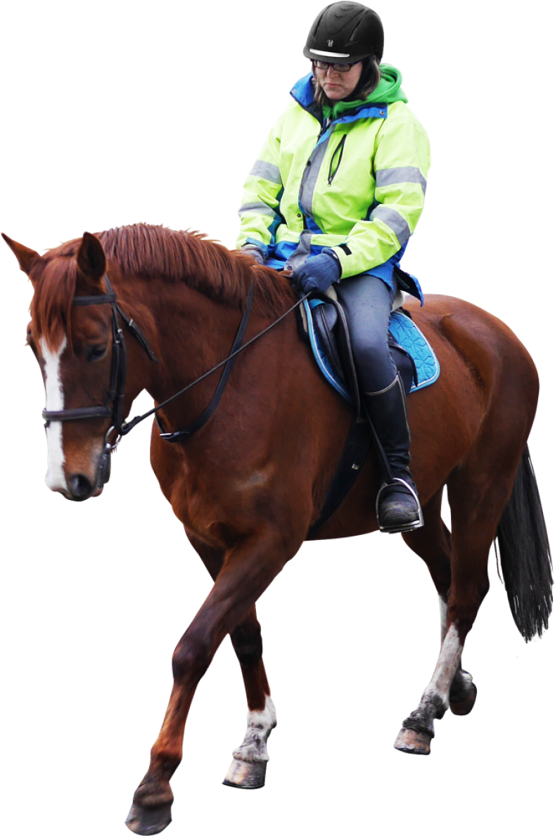 Equestrian Riderin Hi Vis Gear PNG image