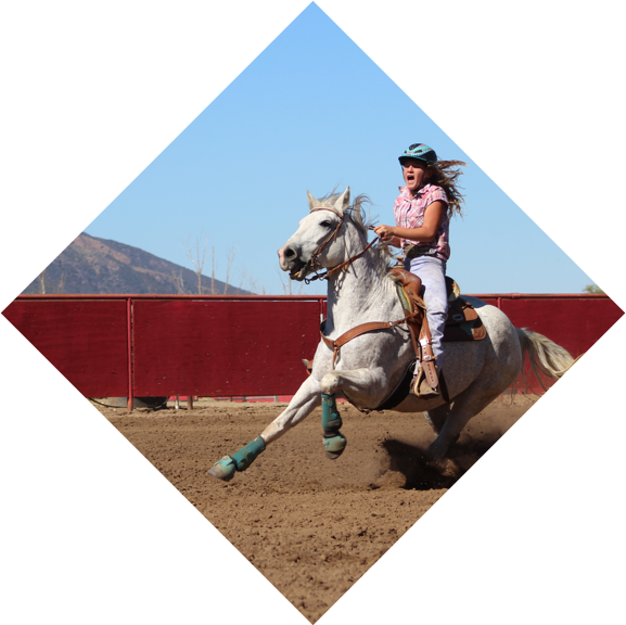 Equestrianin Action Galloping Horse.jpg PNG image