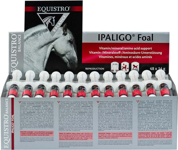 Equistro Ipaligo Foal Supplement Packaging PNG image