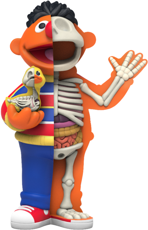 Ernie Anatomy Lesson Sesame Street PNG image