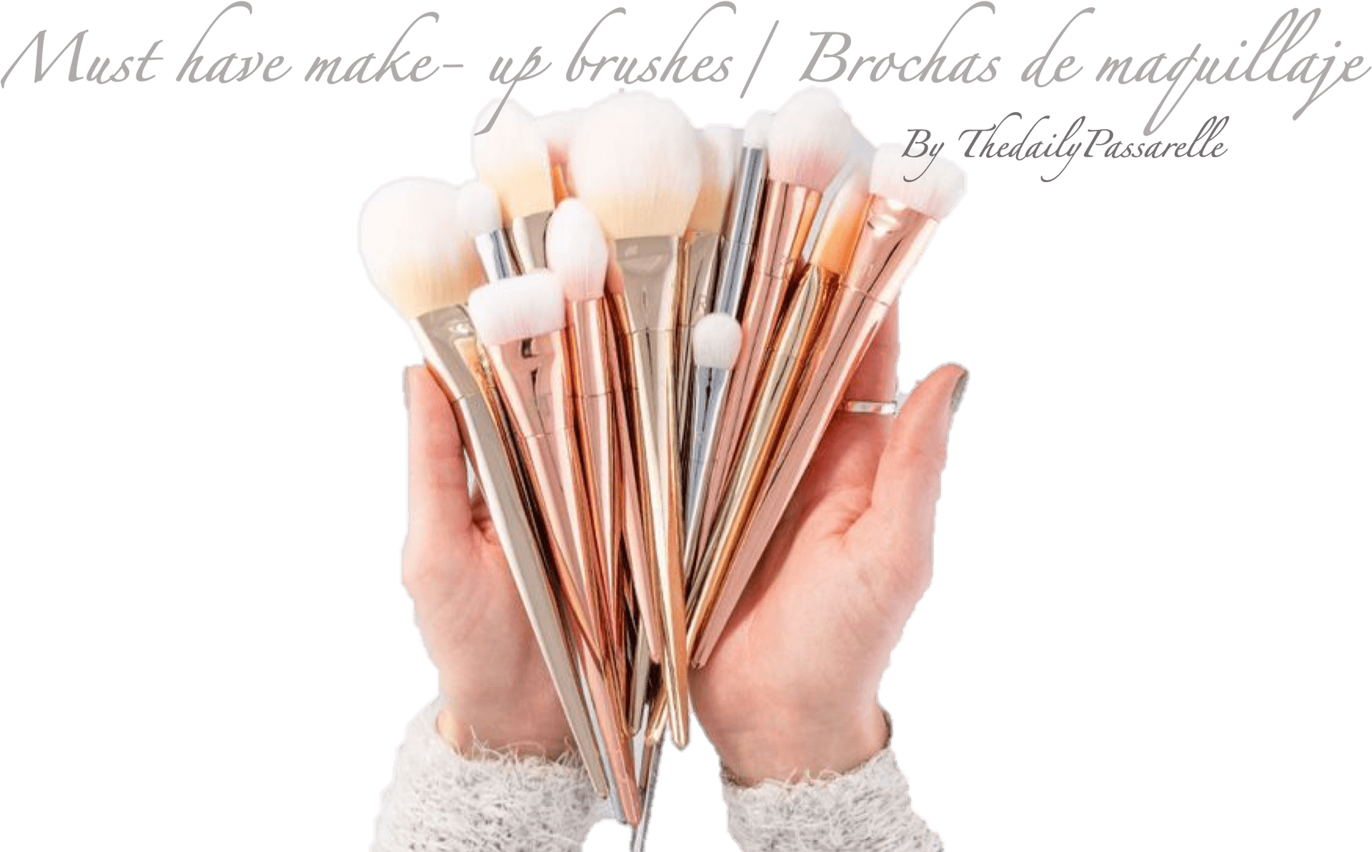 Essential Makeup Brushes Collection PNG image