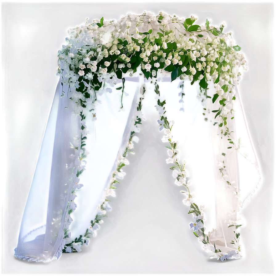 Ethereal Baby's Breath Veil Png 68 PNG image