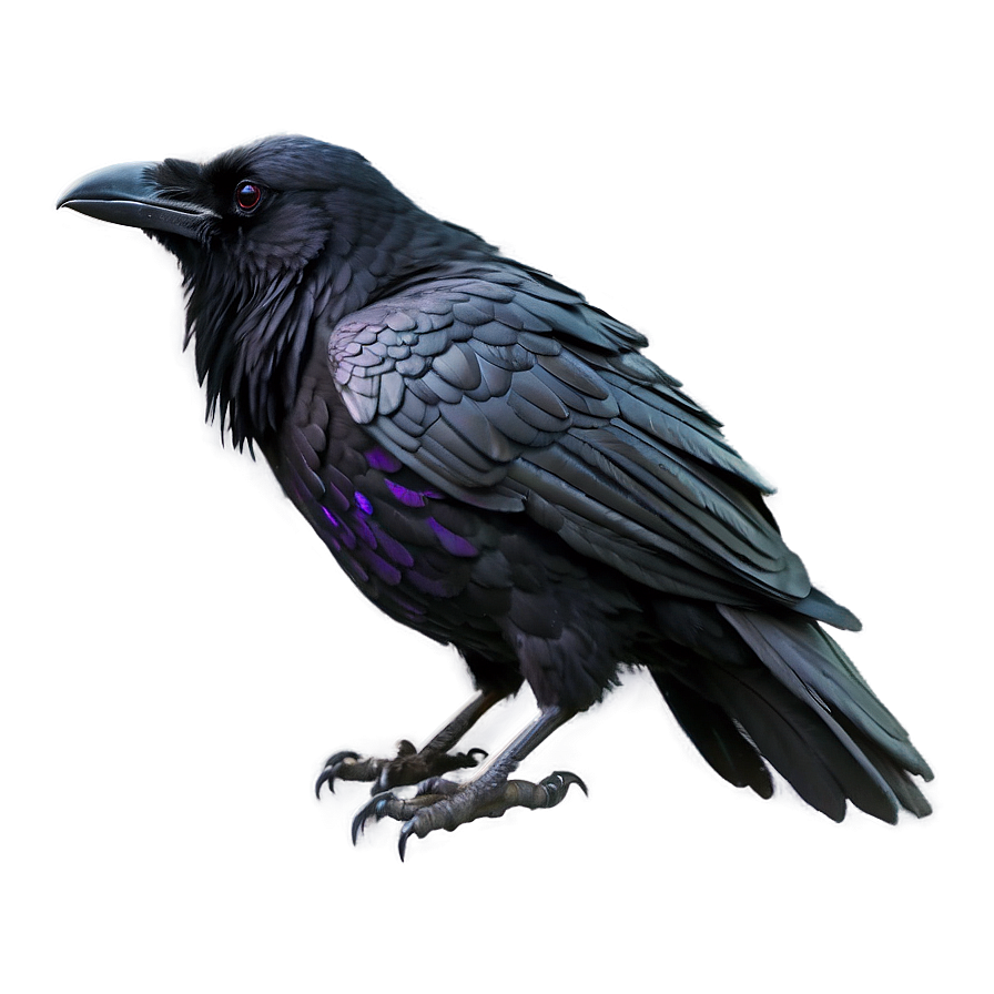 Ethereal Raven Png 68 PNG image