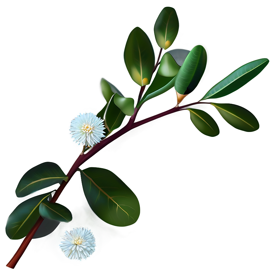 Eucalyptus Branch With Flowers Png Hvy PNG image