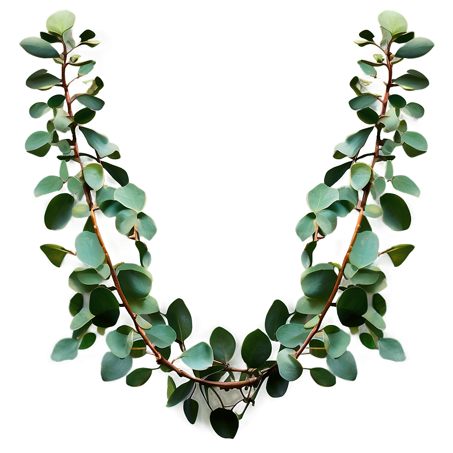 Eucalyptus Garland Decoration Png Lgb PNG image