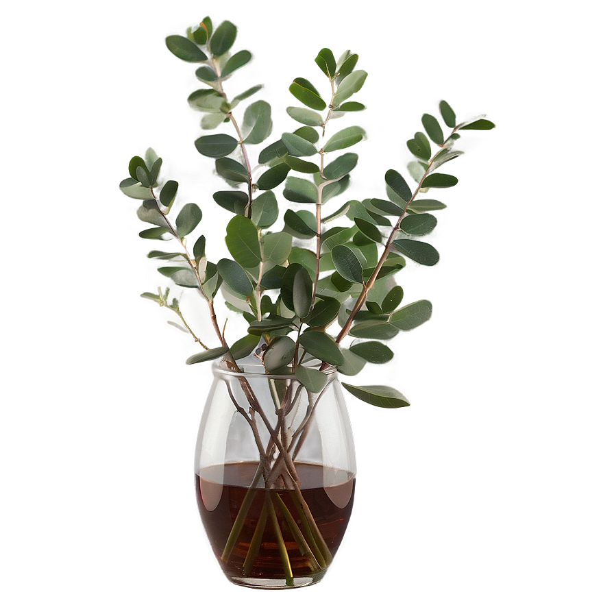 Eucalyptus In Vase Png Lqh77 PNG image