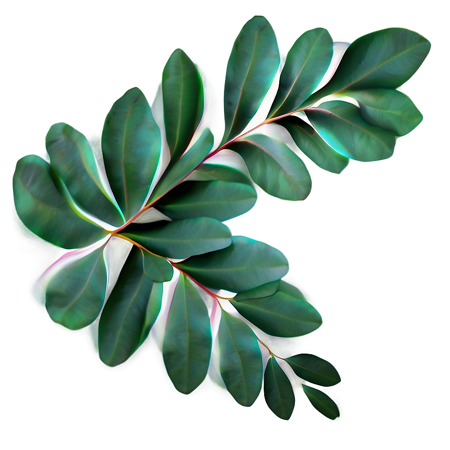 Eucalyptus Leaf Pattern Png 48 PNG image