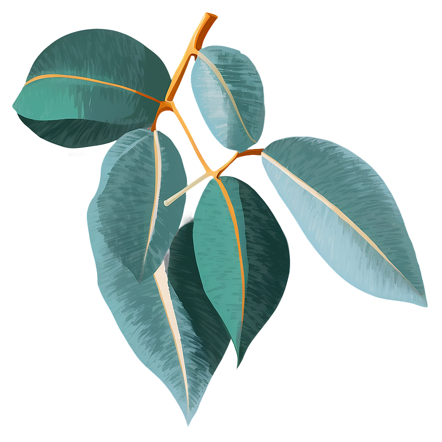 Eucalyptus Leaves Vector Png 55 PNG image