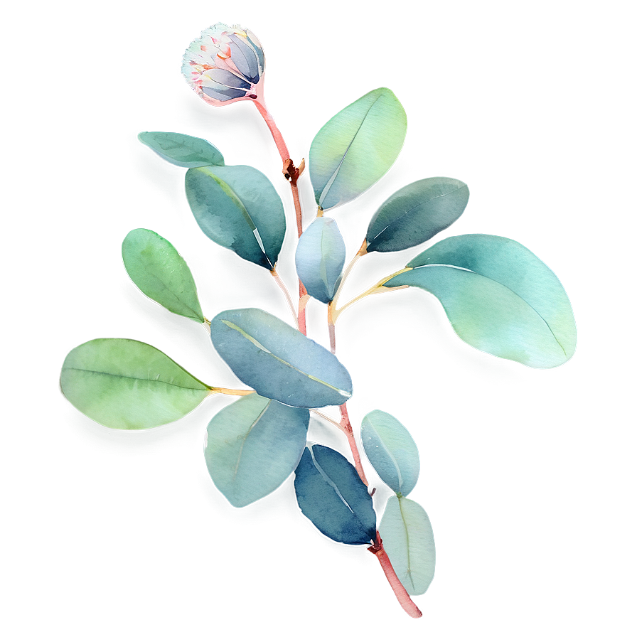 Eucalyptus Leaves Watercolor Png 06272024 PNG image