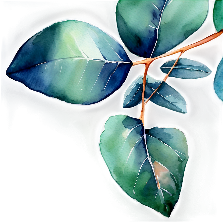 Eucalyptus Leaves Watercolor Png 31 PNG image