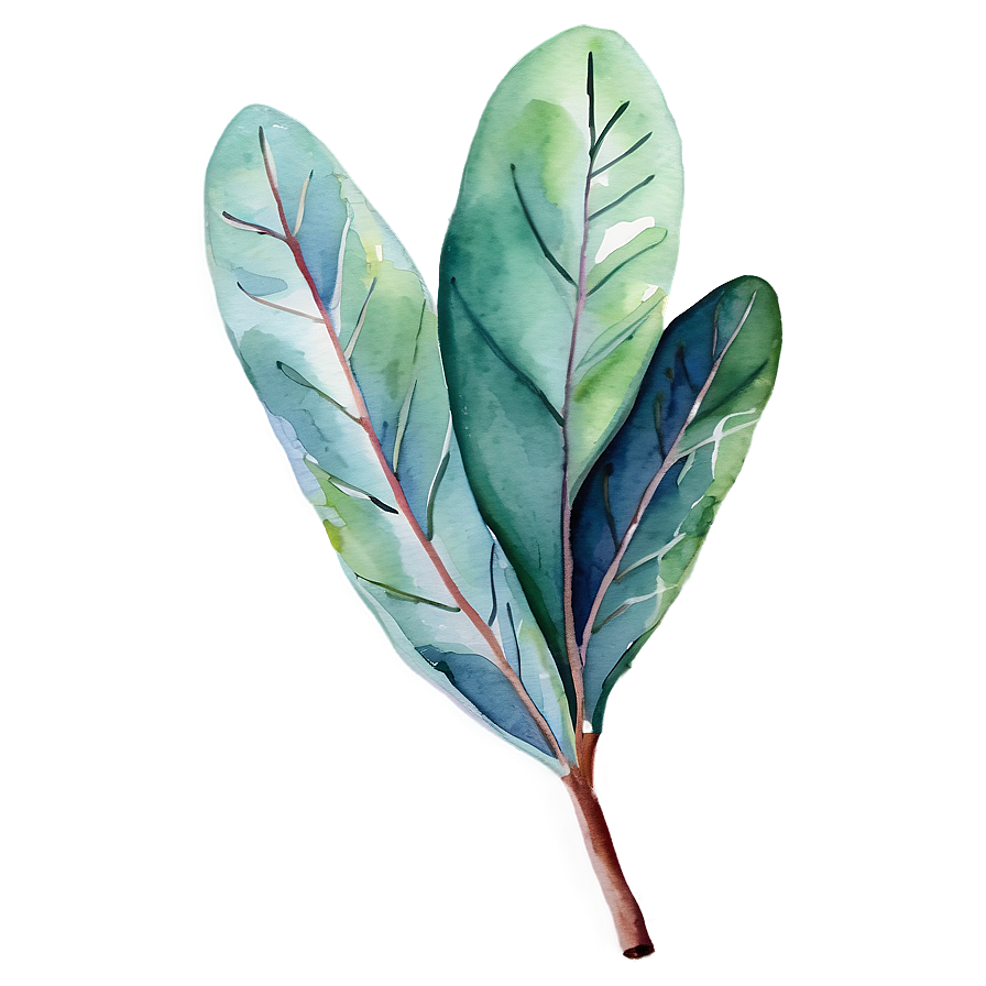 Eucalyptus Leaves Watercolor Png Bqn PNG image