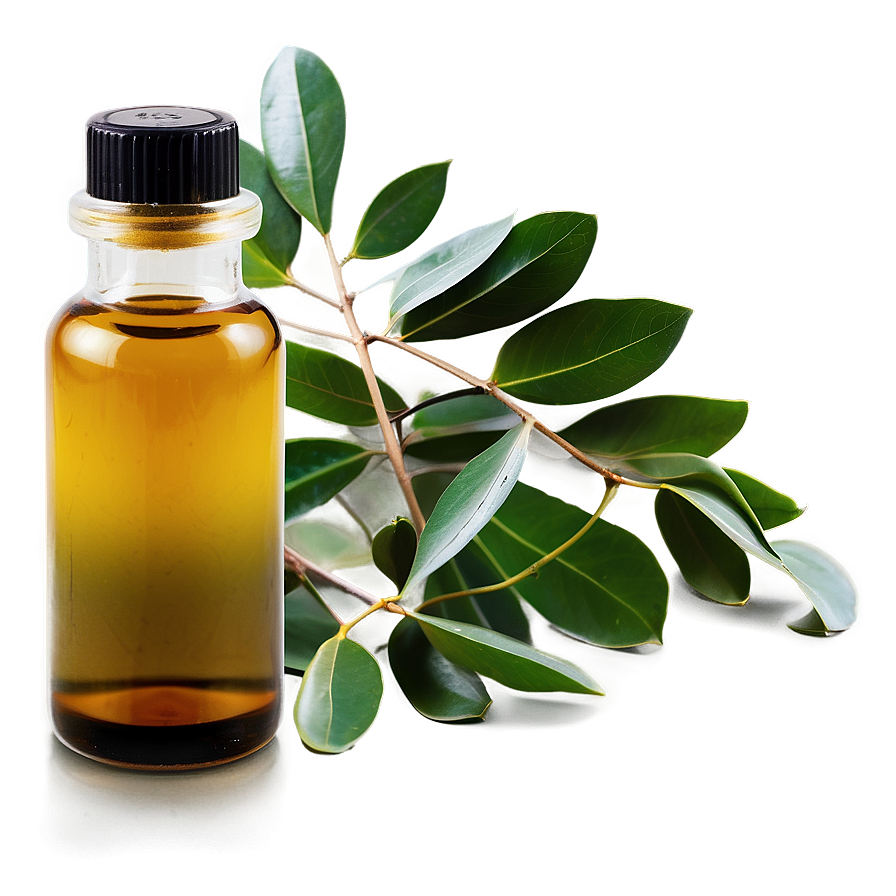 Eucalyptus Oil Massage Png 05242024 PNG image