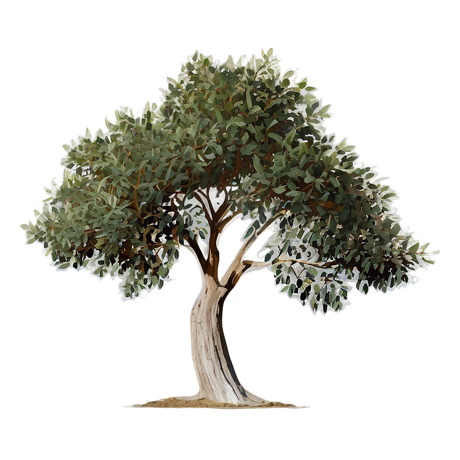 Eucalyptus Tree Silhouette Png Enp64 PNG image