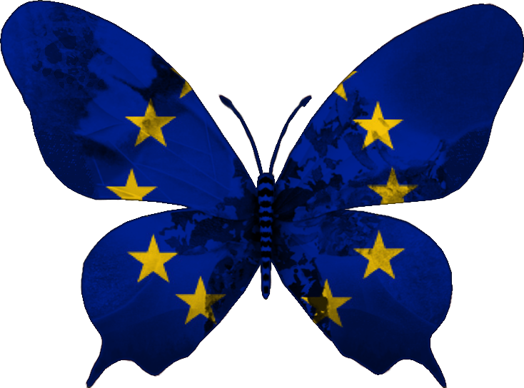 European Union Flag Butterfly PNG image