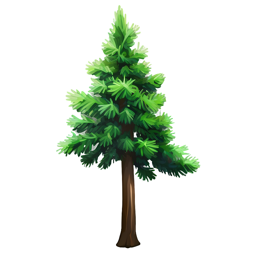 Evergreen Cedar Tree Png 99 PNG image