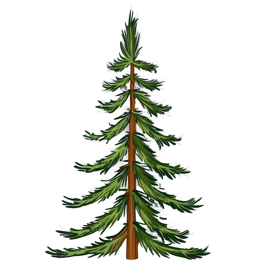 Evergreen Pine Tree Png 06212024 PNG image