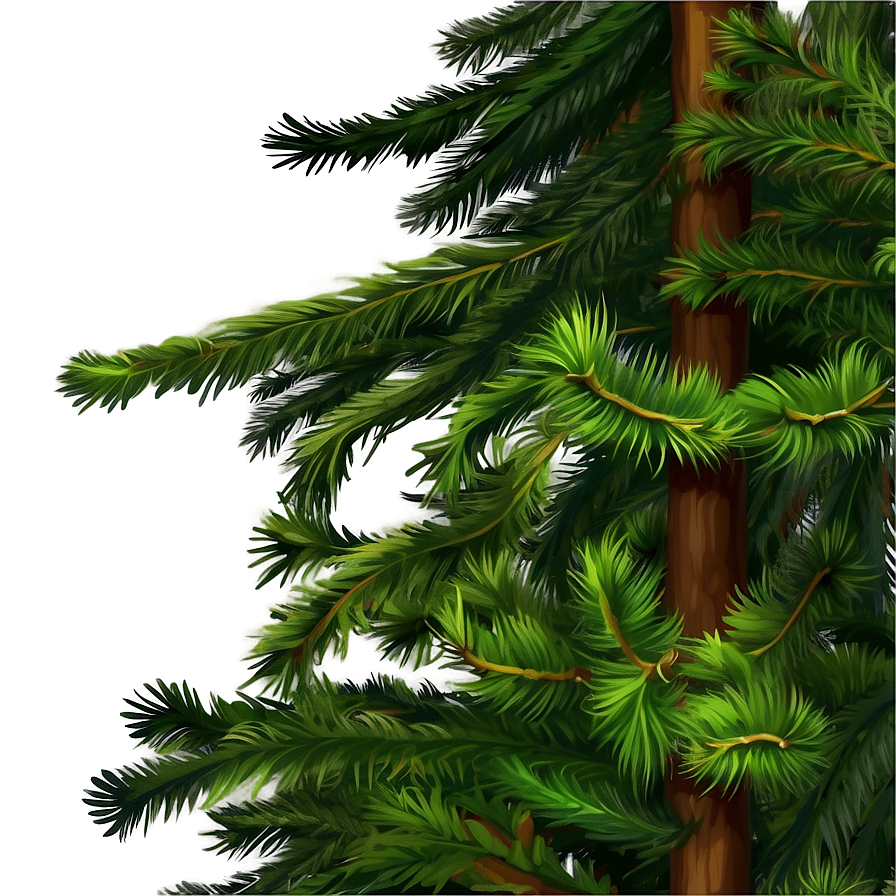 Evergreen Tree Art Png Lix88 PNG image