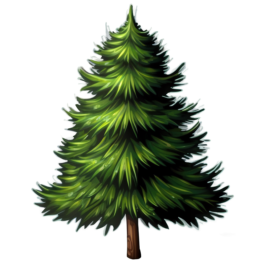 Evergreen Tree Illustration Png 06212024 PNG image